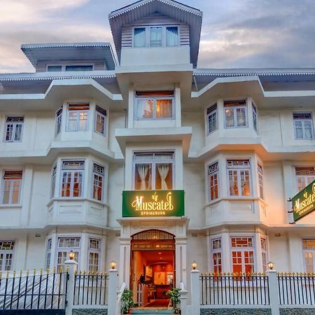 Muscatel Spring Burn - 100 Mts From Mall Road Darjeeling  Exteriör bild