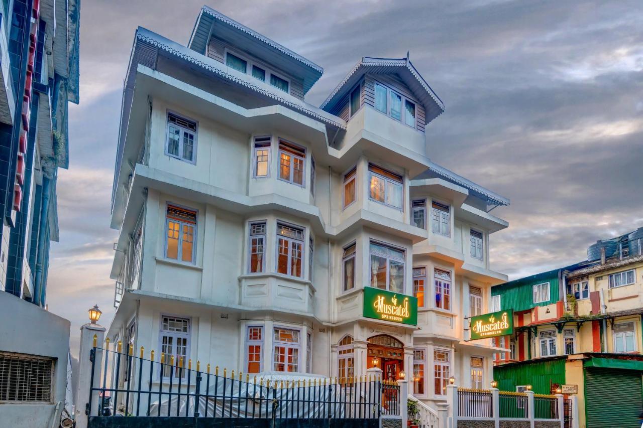 Muscatel Spring Burn - 100 Mts From Mall Road Darjeeling  Exteriör bild
