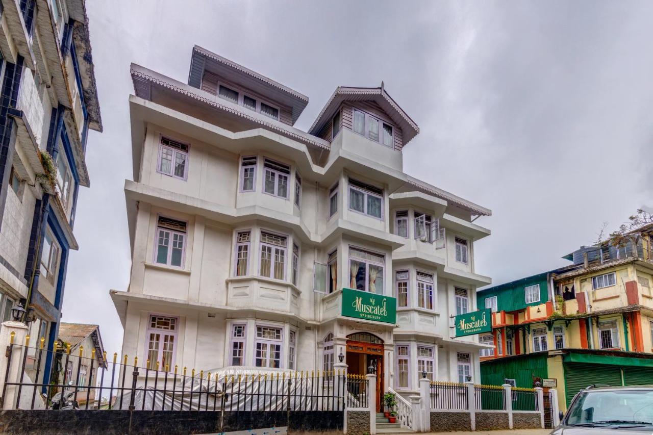 Muscatel Spring Burn - 100 Mts From Mall Road Darjeeling  Exteriör bild